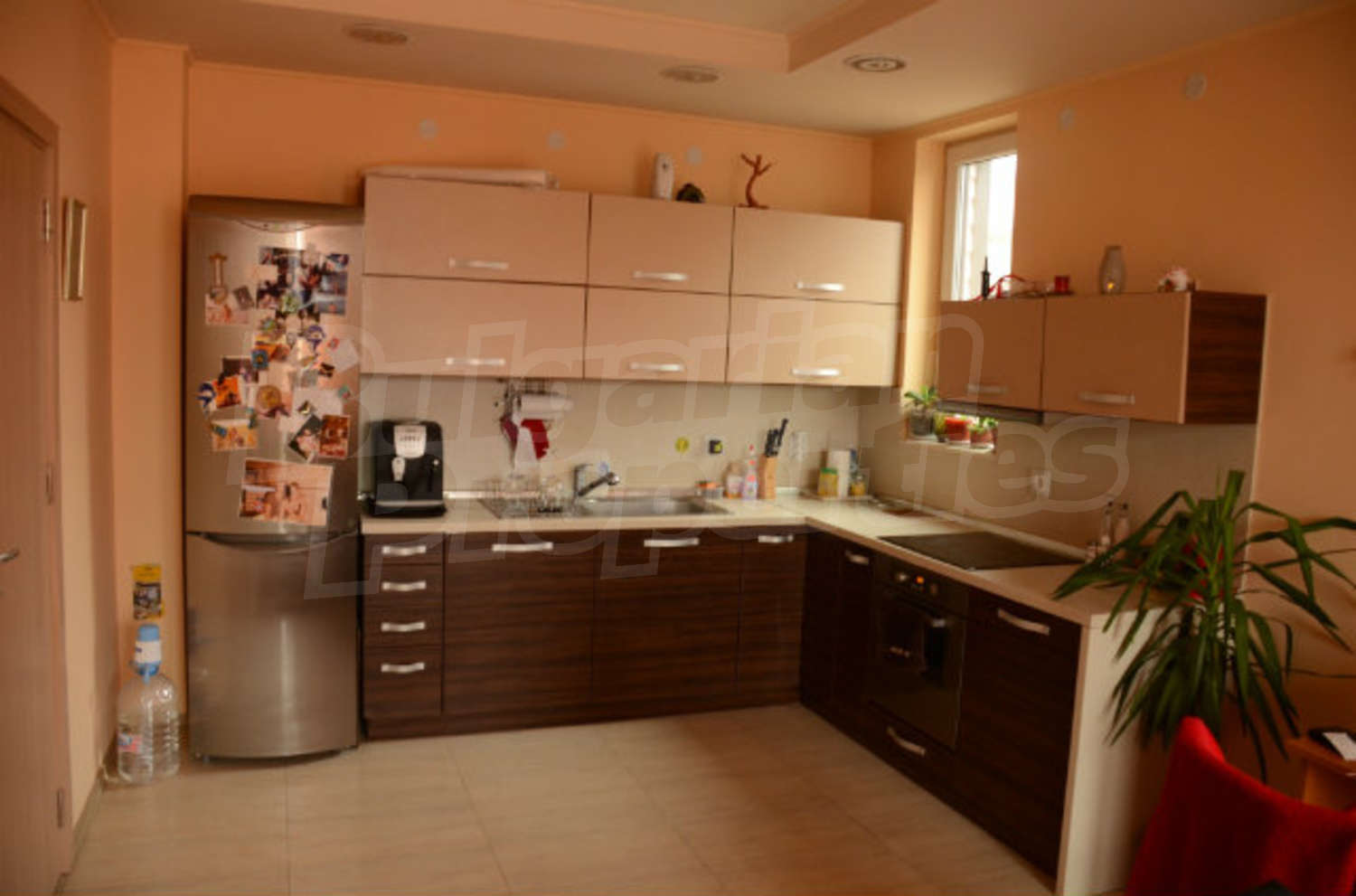 Gallery Picture 6