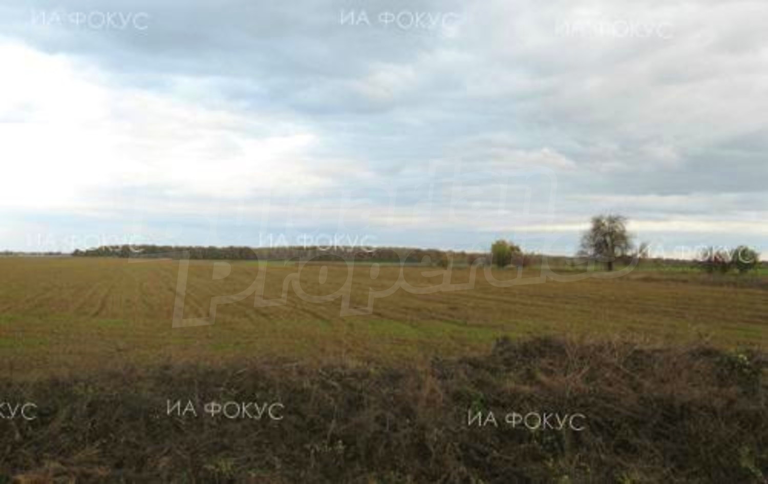 Gallery Picture 2