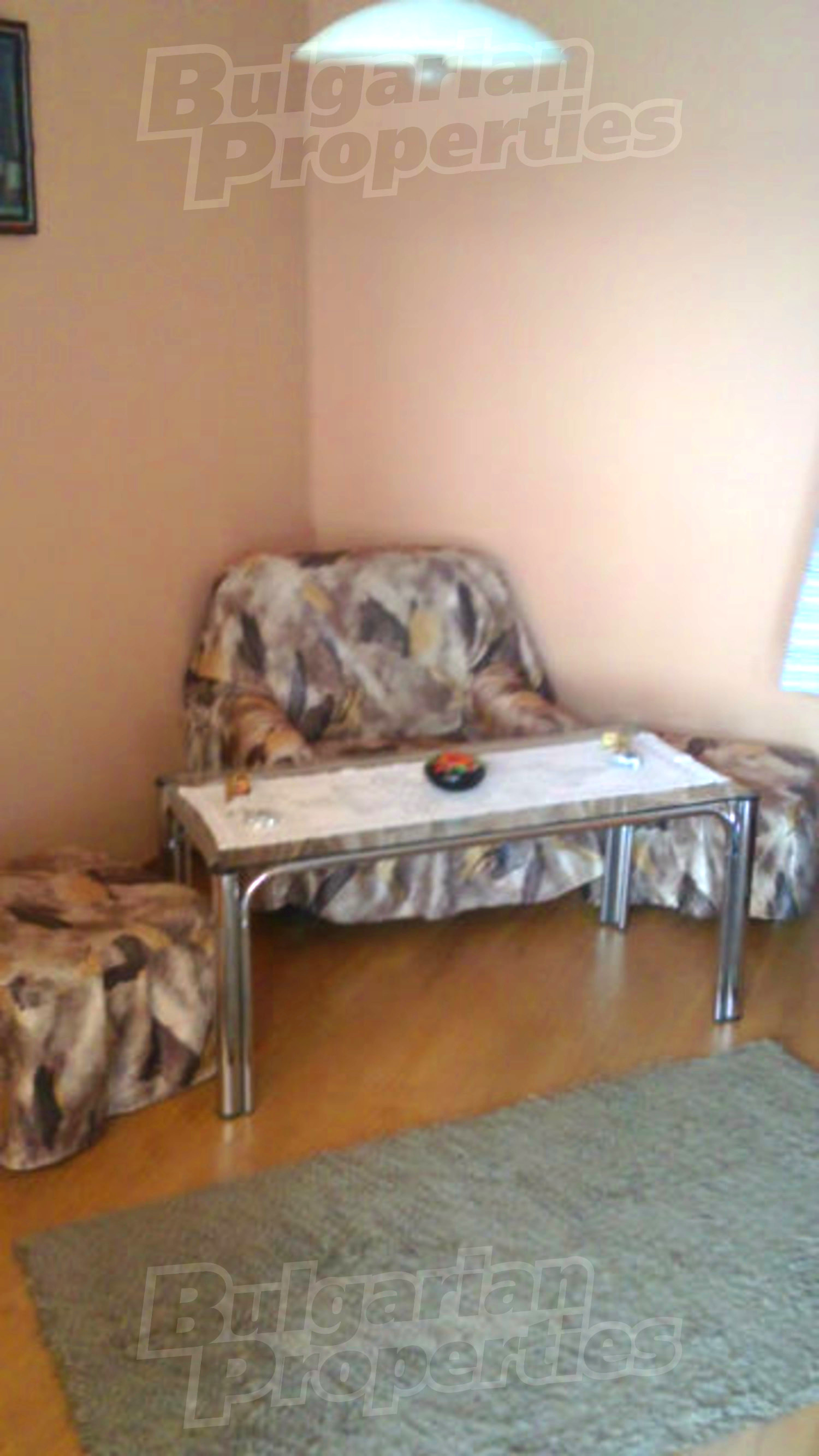 Gallery Picture 14