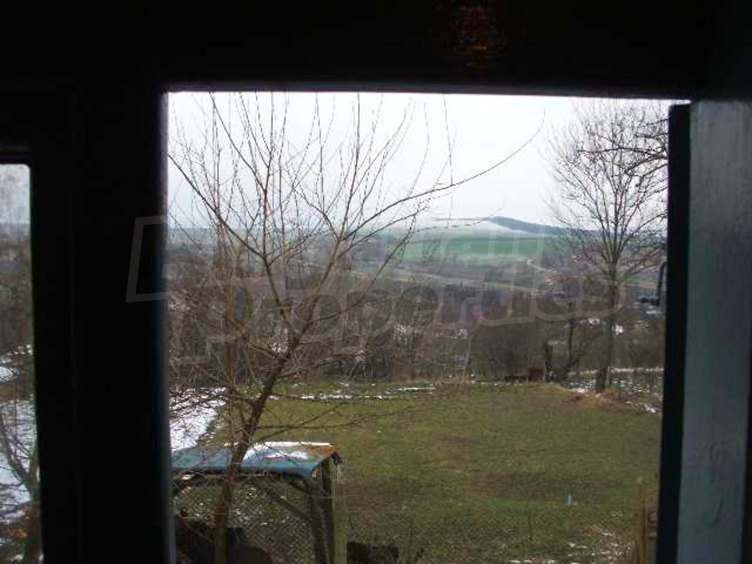 Gallery Picture 17