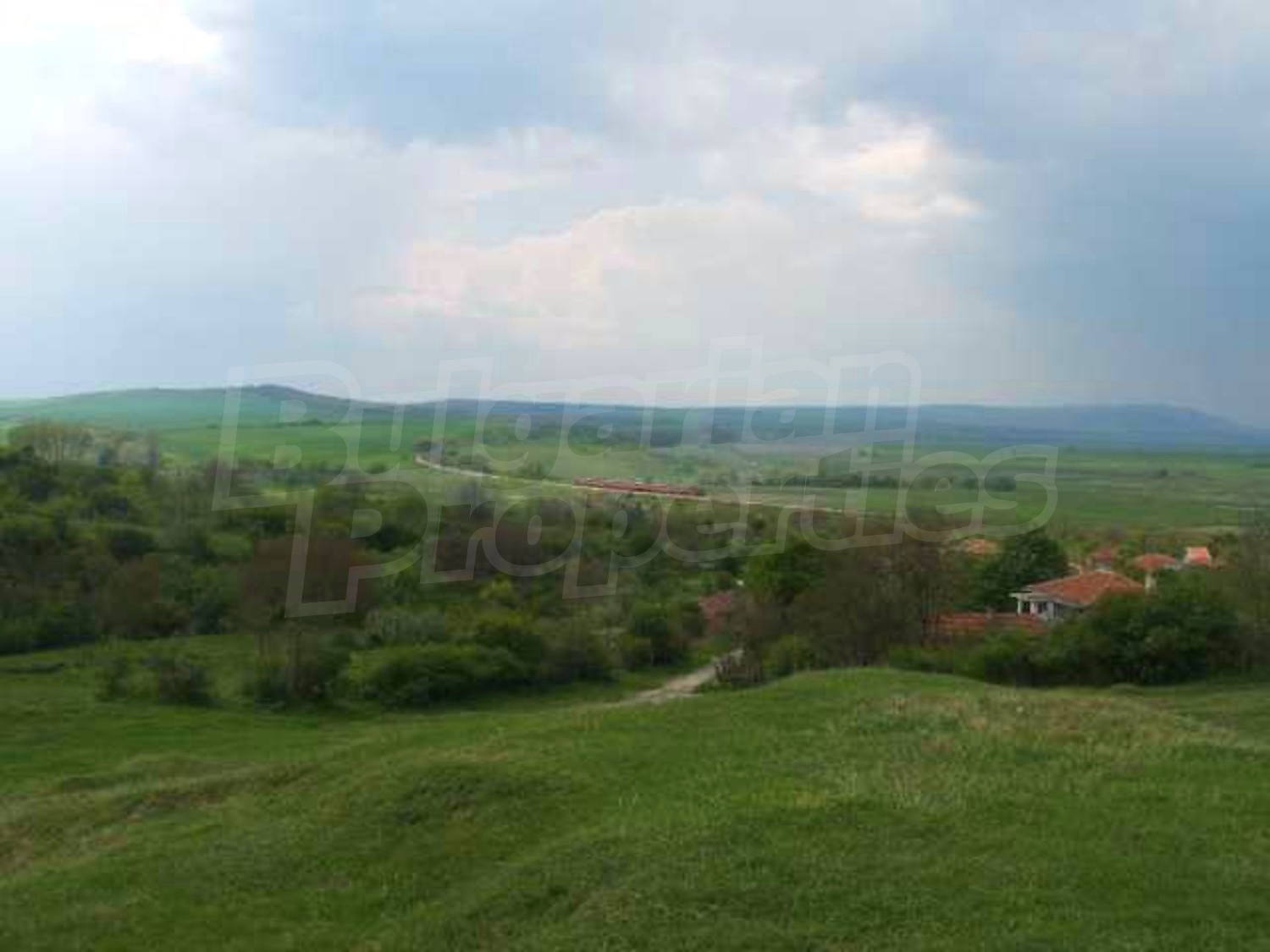 Gallery Picture 19