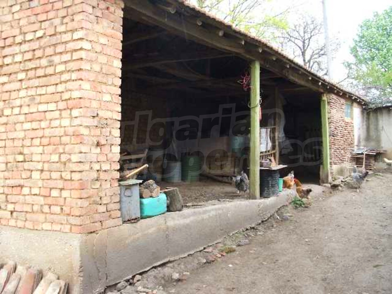Gallery Picture 7
