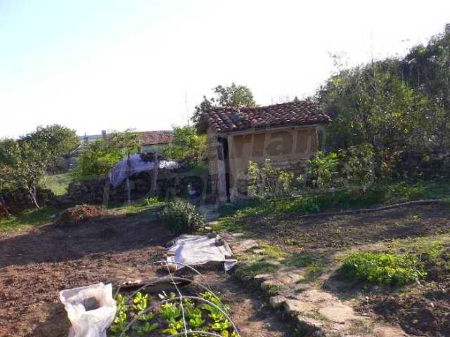 Gallery Picture 11