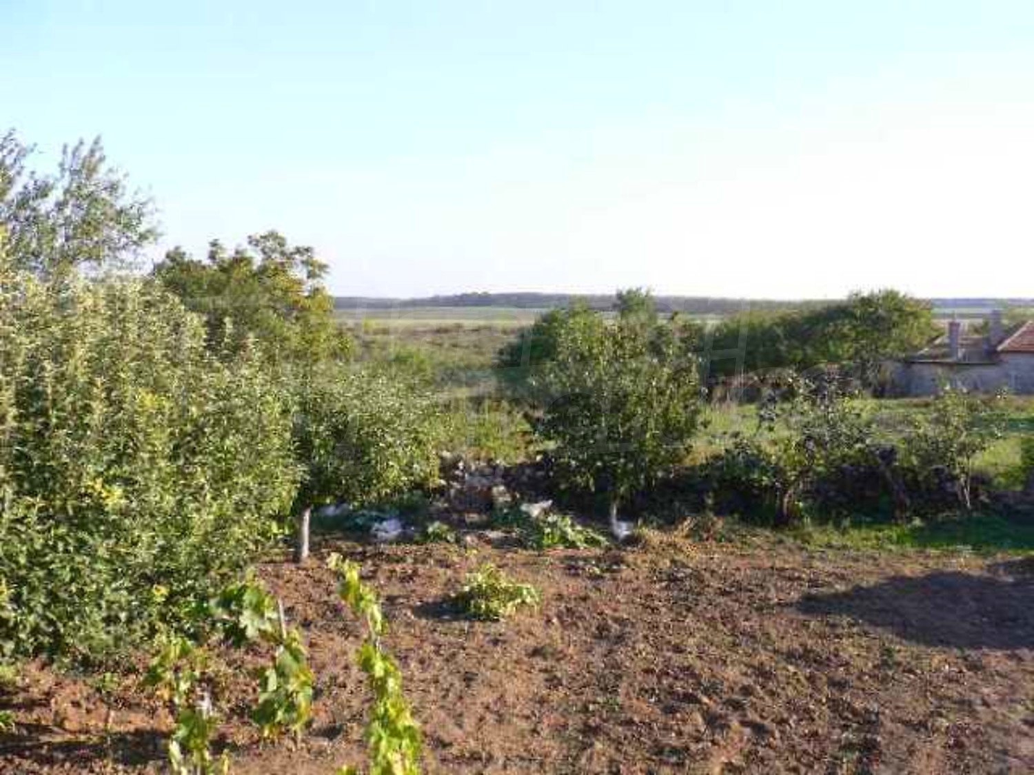 Gallery Picture 16