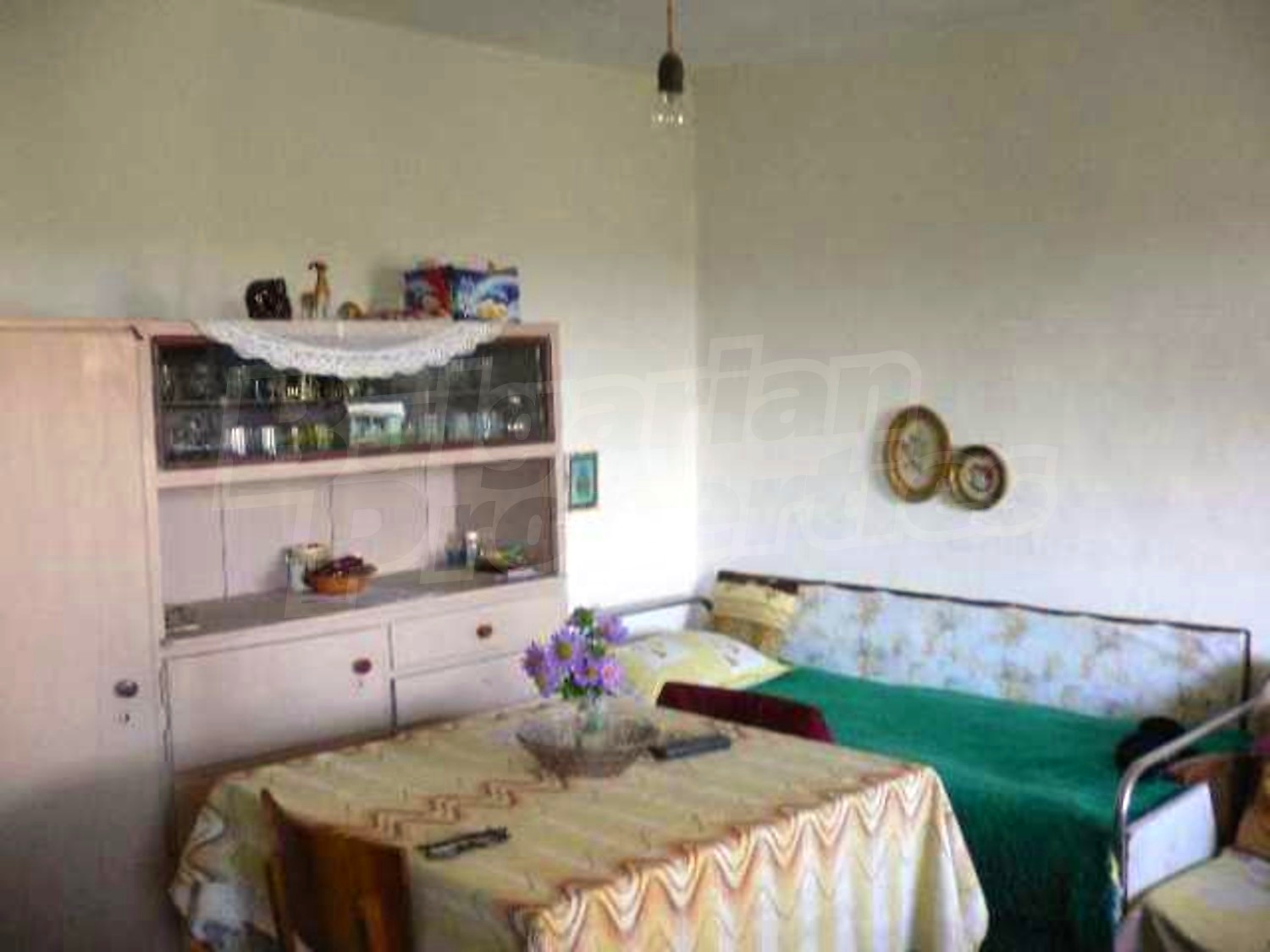 Gallery Picture 19