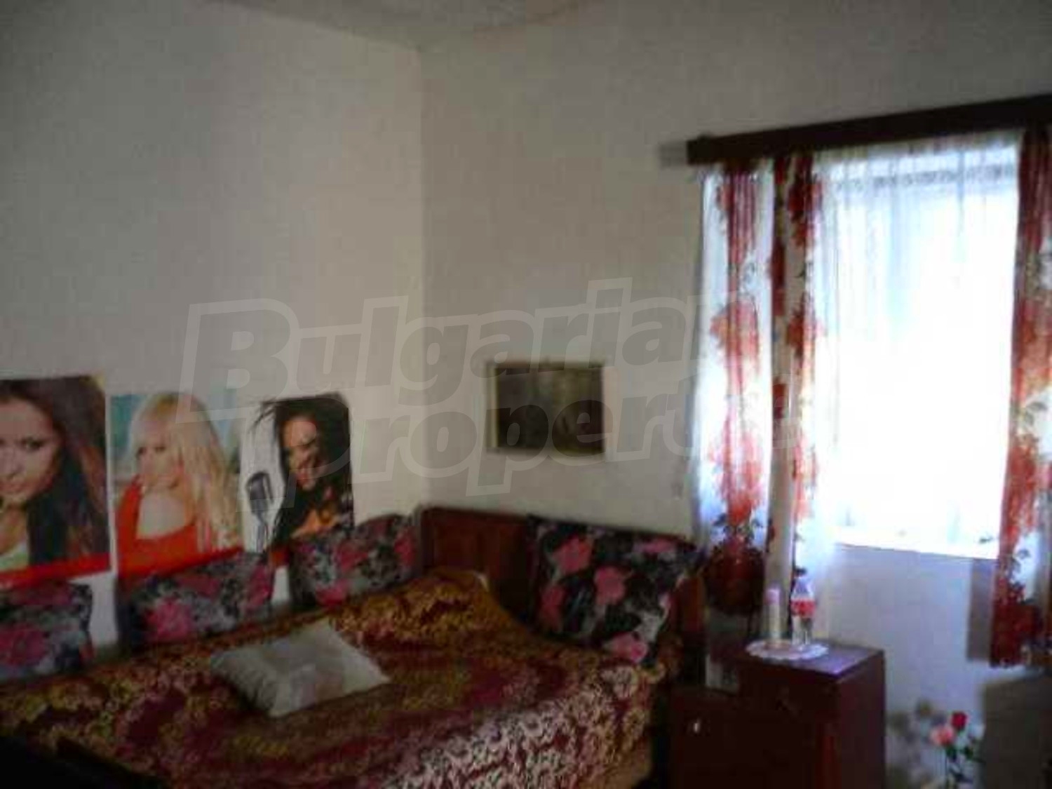 Gallery Picture 21