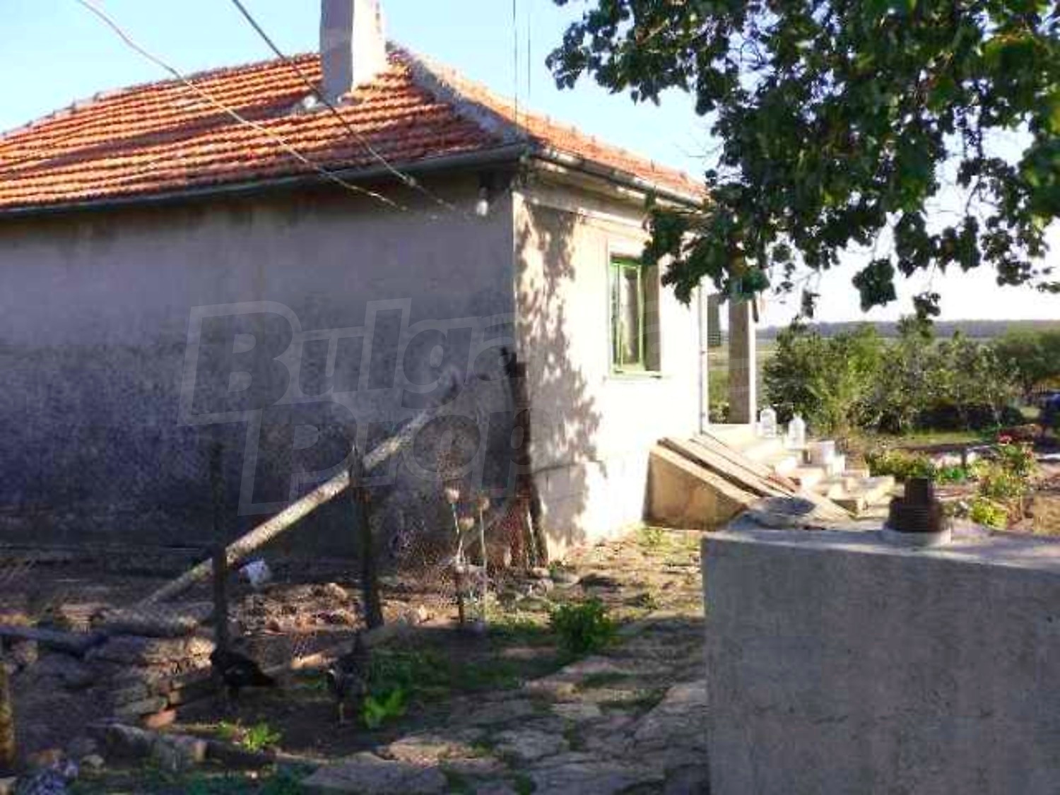 Gallery Picture 4