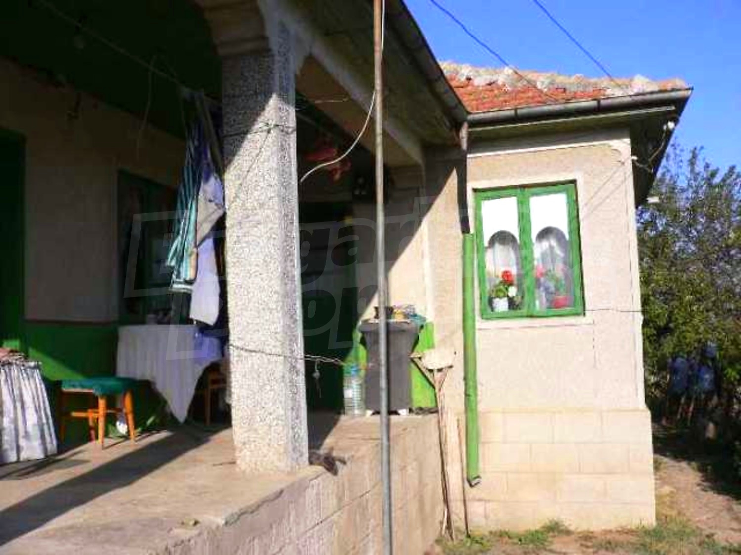 Gallery Picture 5