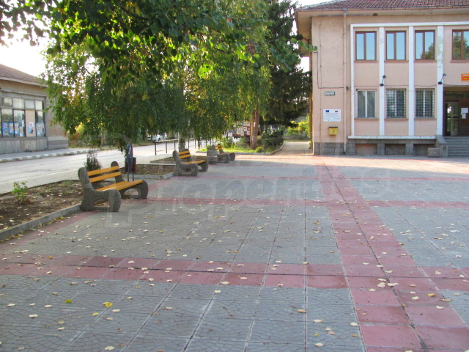 Gallery Picture 15
