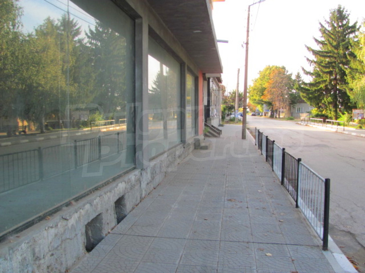 Gallery Picture 5