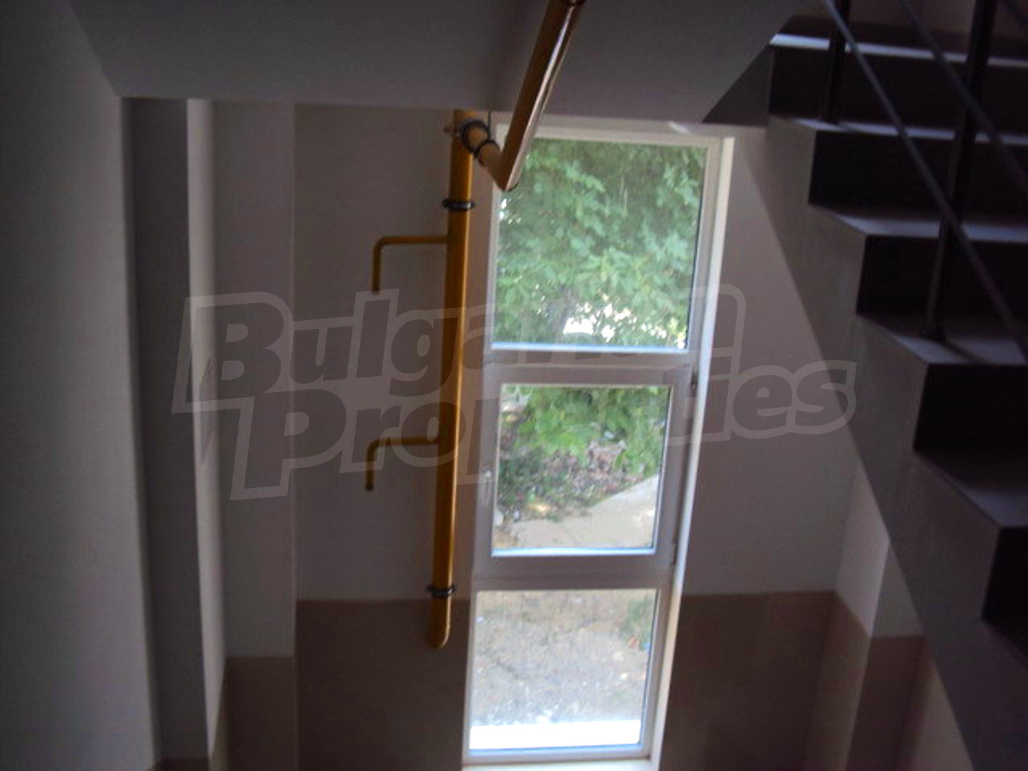 Gallery Picture 41