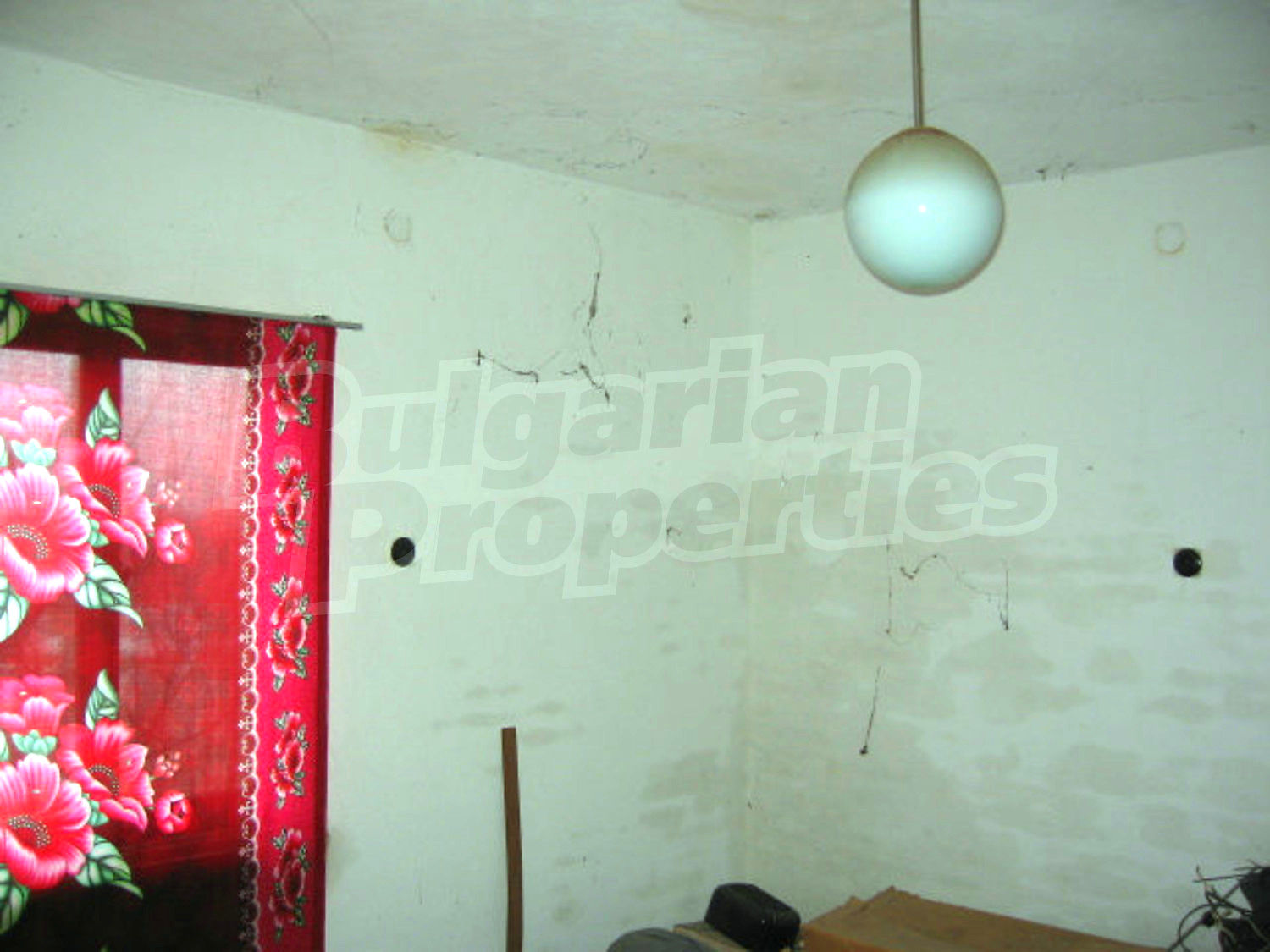 Gallery Picture 19