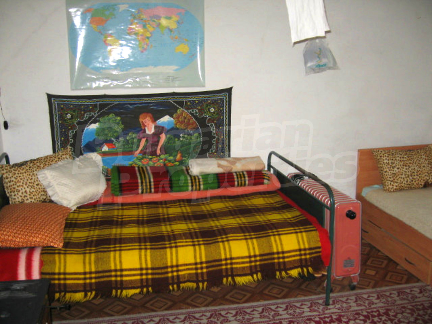 Gallery Picture 24