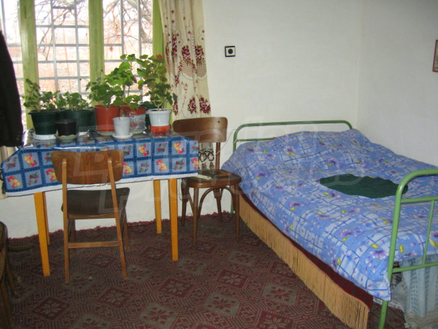 Gallery Picture 27