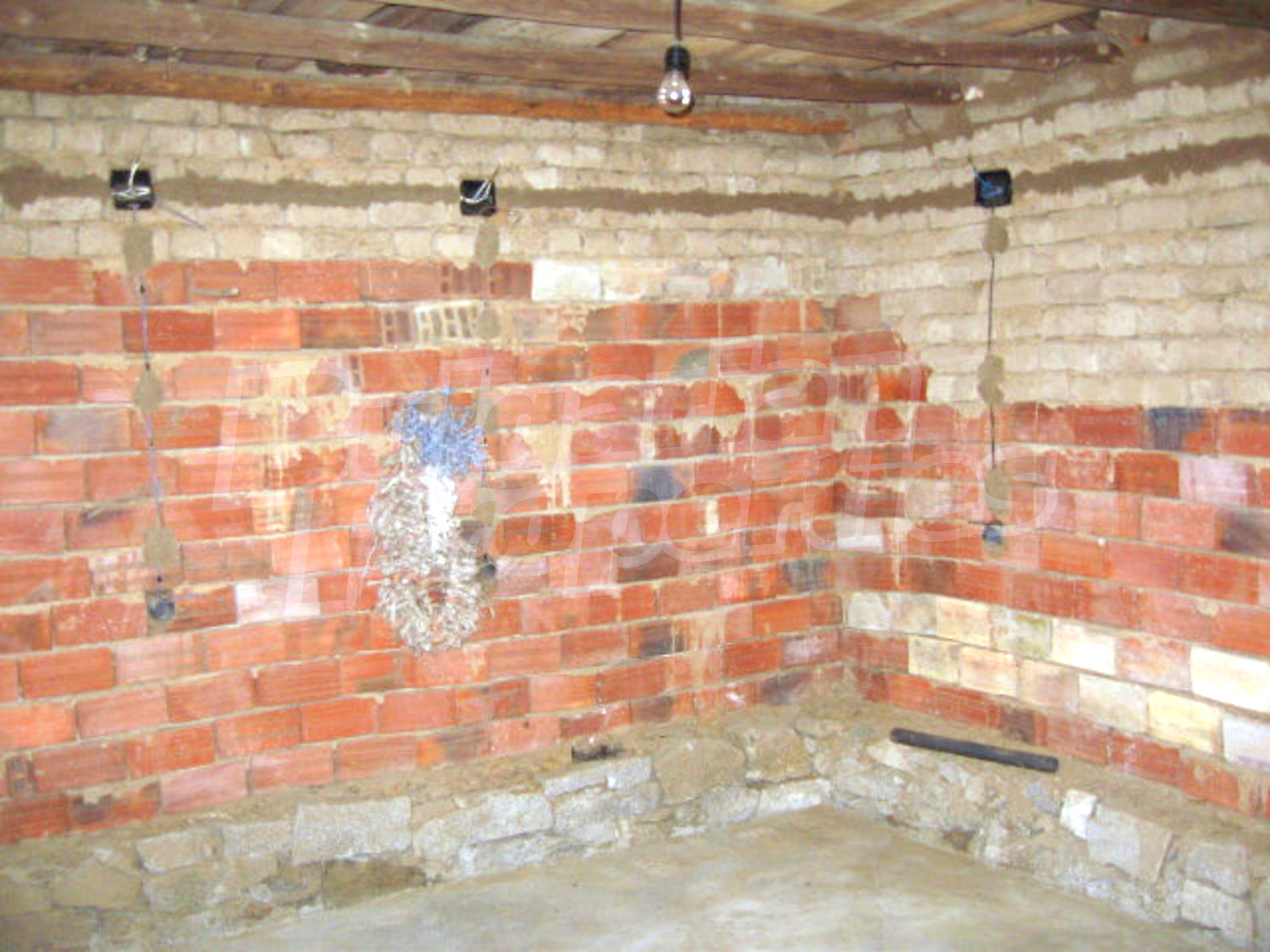 Gallery Picture 32