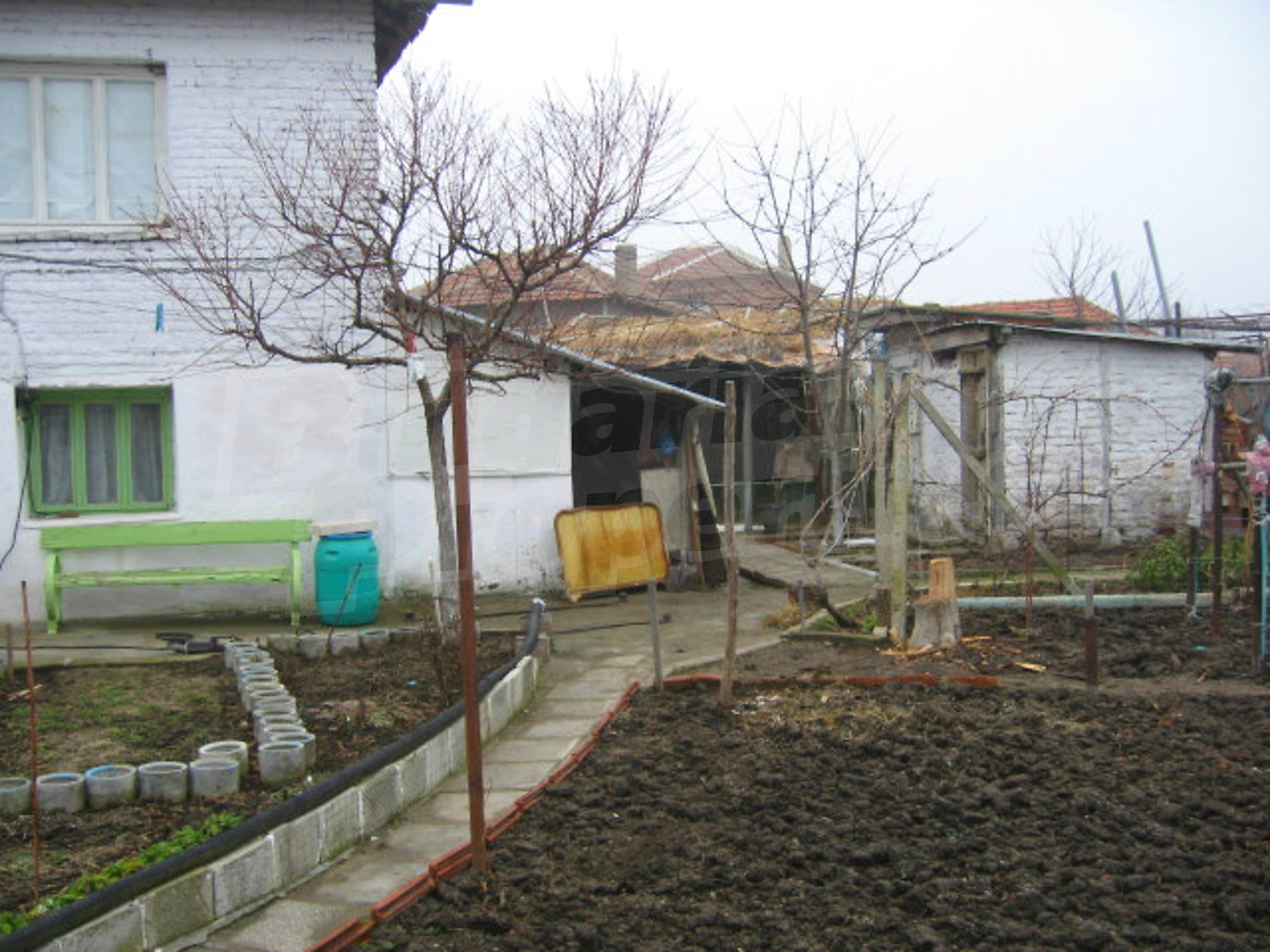 Gallery Picture 12