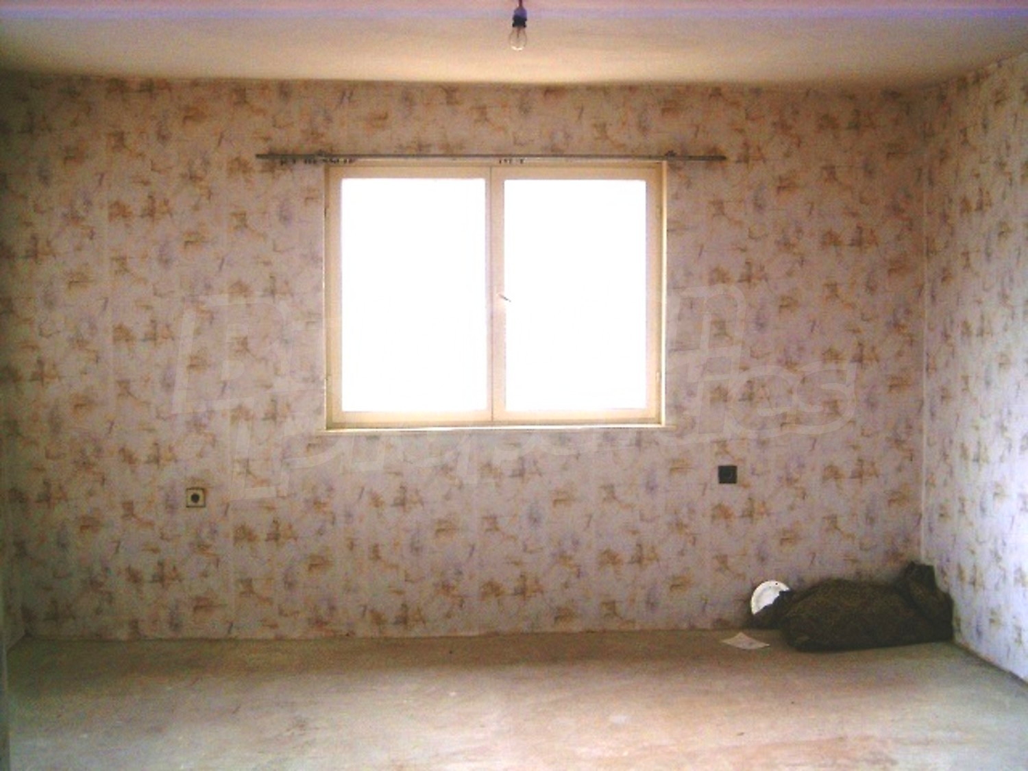 Gallery Picture 5