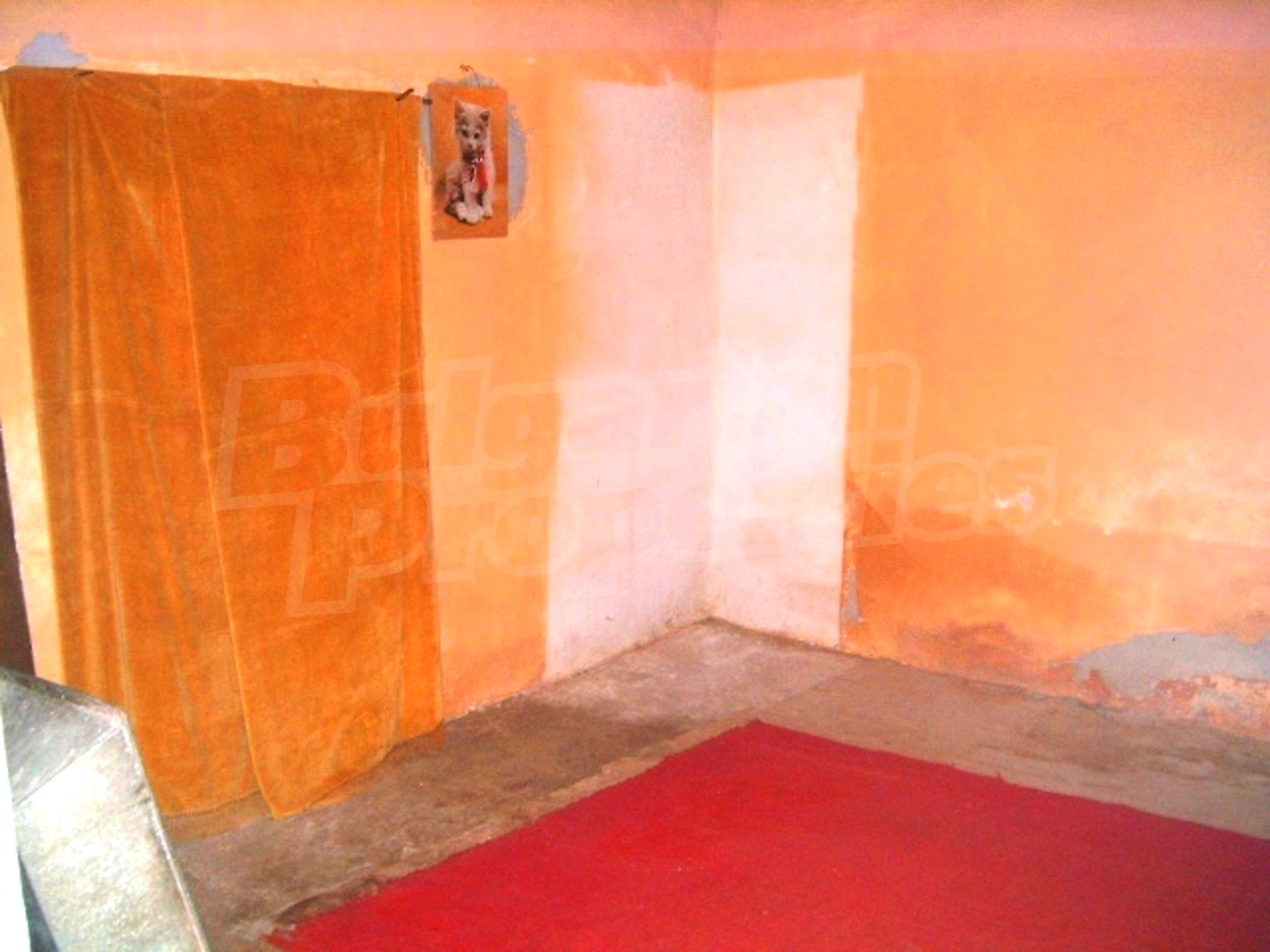 Gallery Picture 6