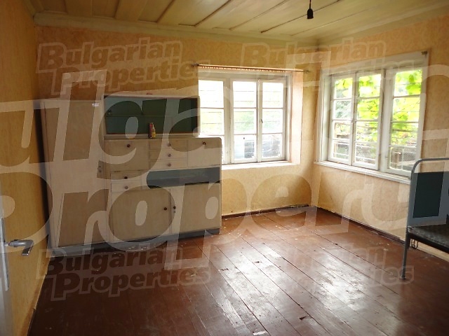 Gallery Picture 11