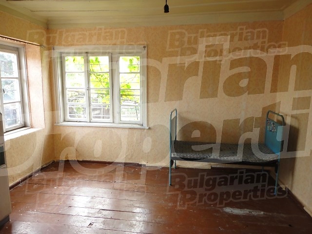 Gallery Picture 12