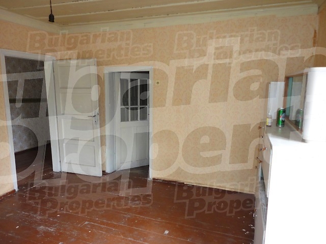 Gallery Picture 13