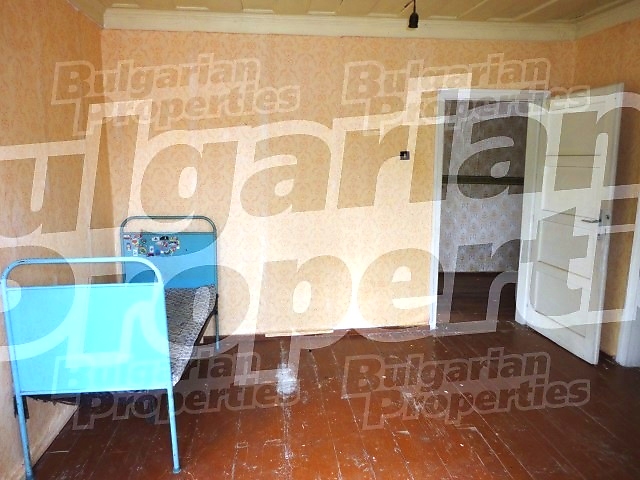 Gallery Picture 14