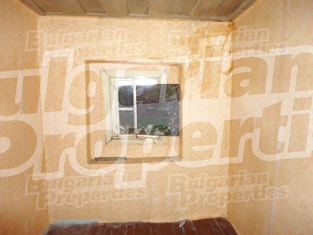 Gallery Picture 15