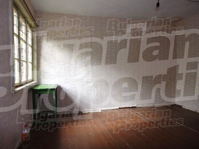Gallery Picture 17