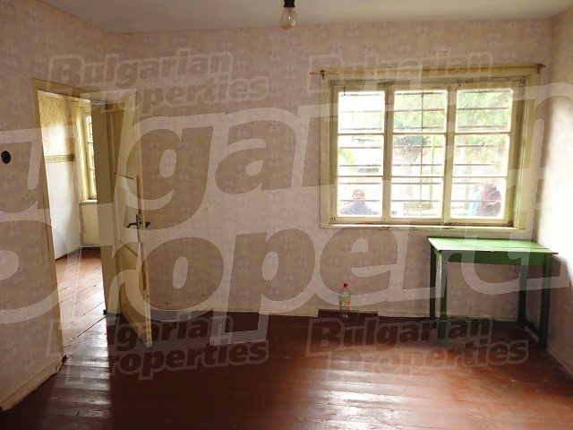 Gallery Picture 19