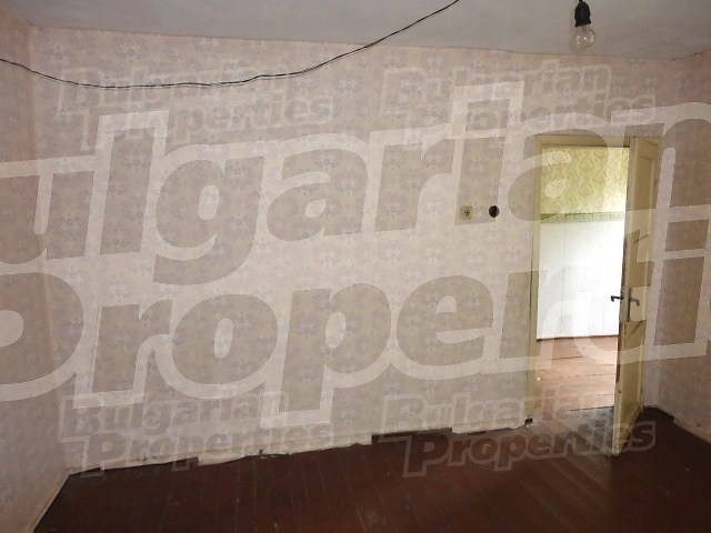 Gallery Picture 20