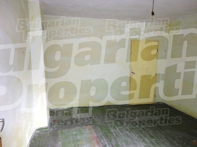 Gallery Picture 22