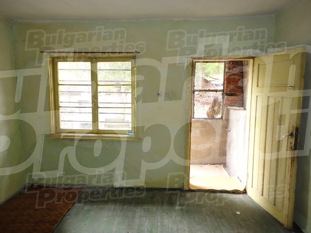 Gallery Picture 23