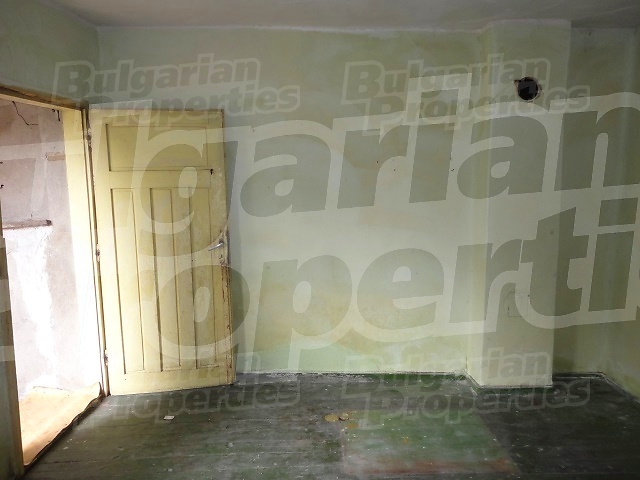 Gallery Picture 24