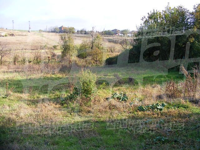 Gallery Picture 32