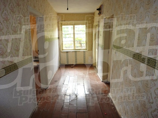 Gallery Picture 7