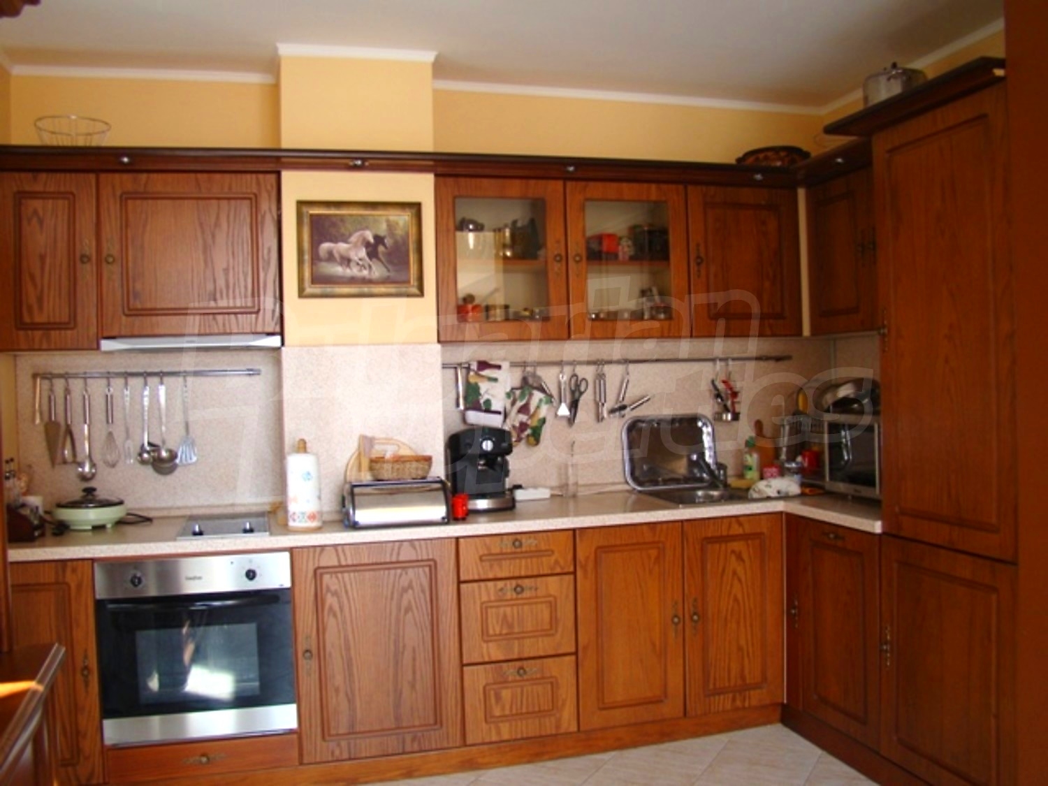 Gallery Picture 16