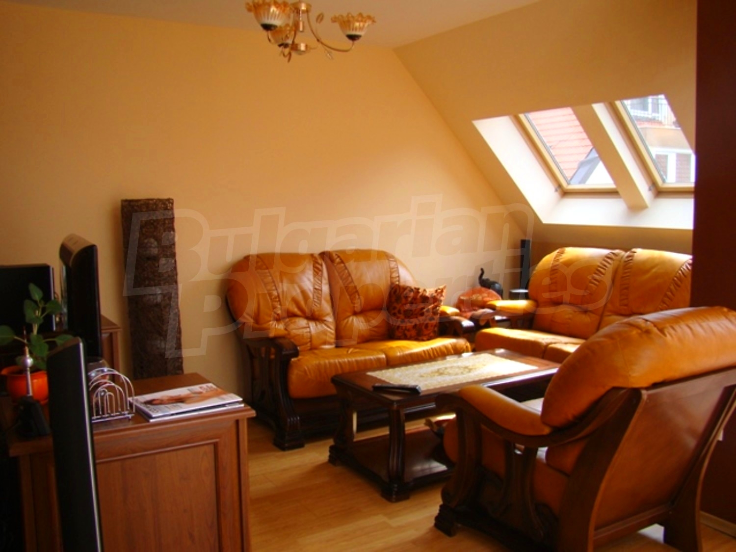 Gallery Picture 24