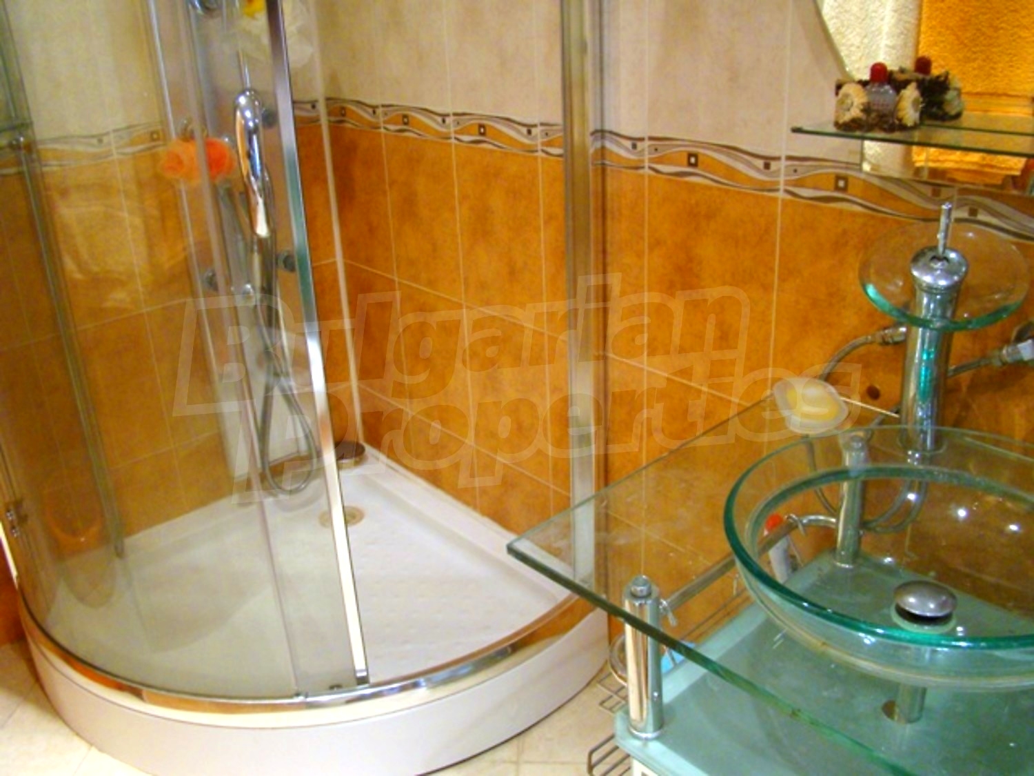 Gallery Picture 45