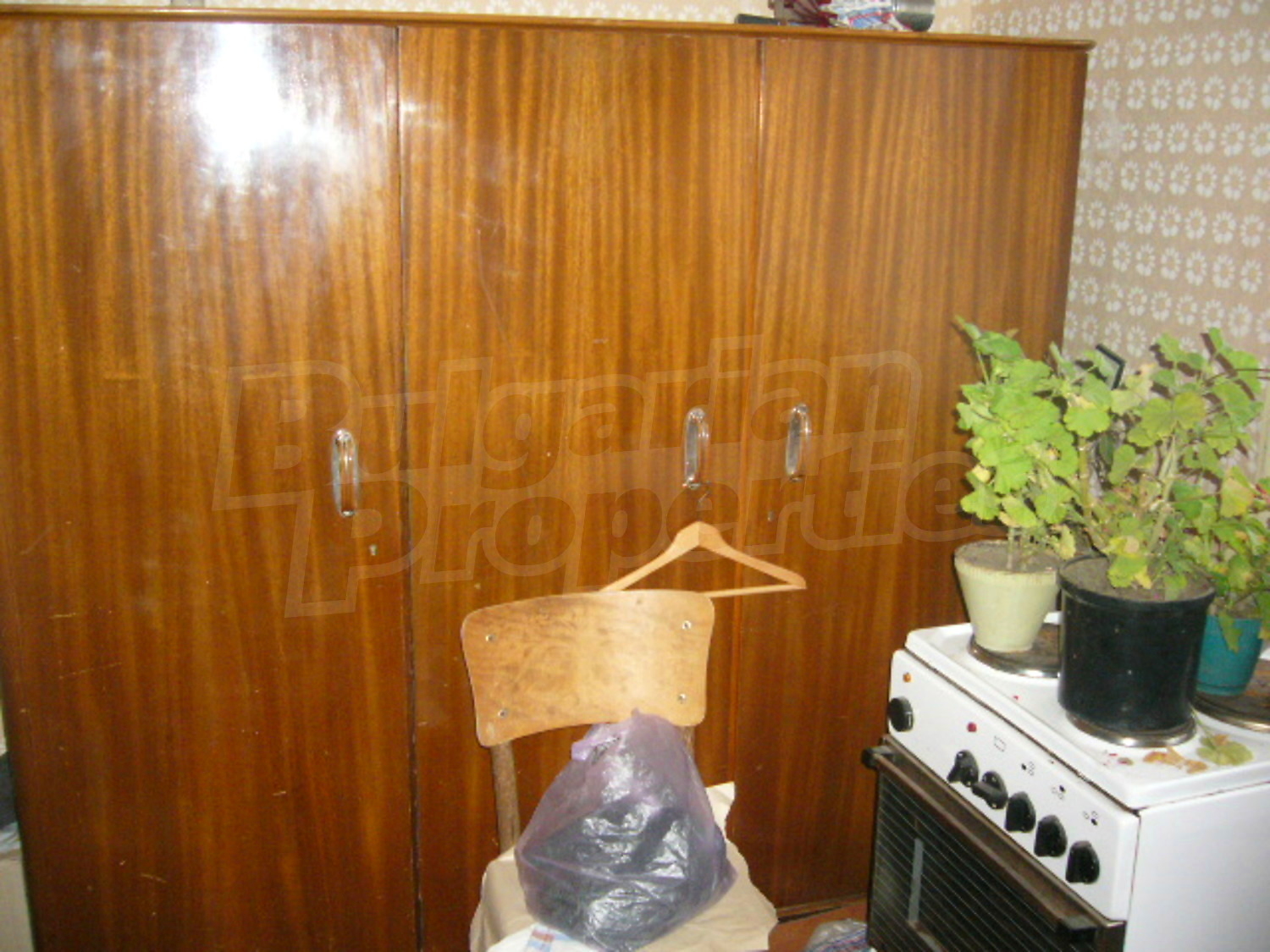 Gallery Picture 16