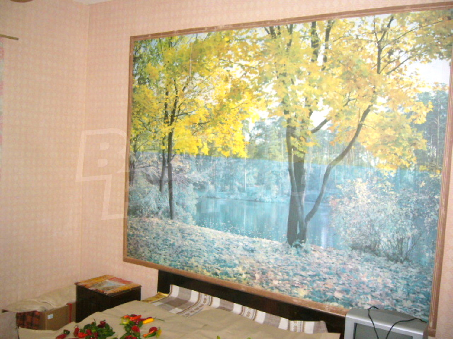 Gallery Picture 17