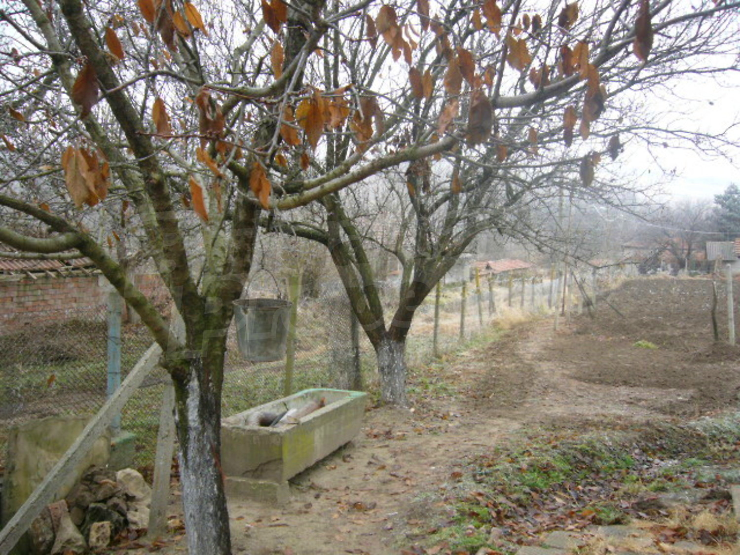 Gallery Picture 19