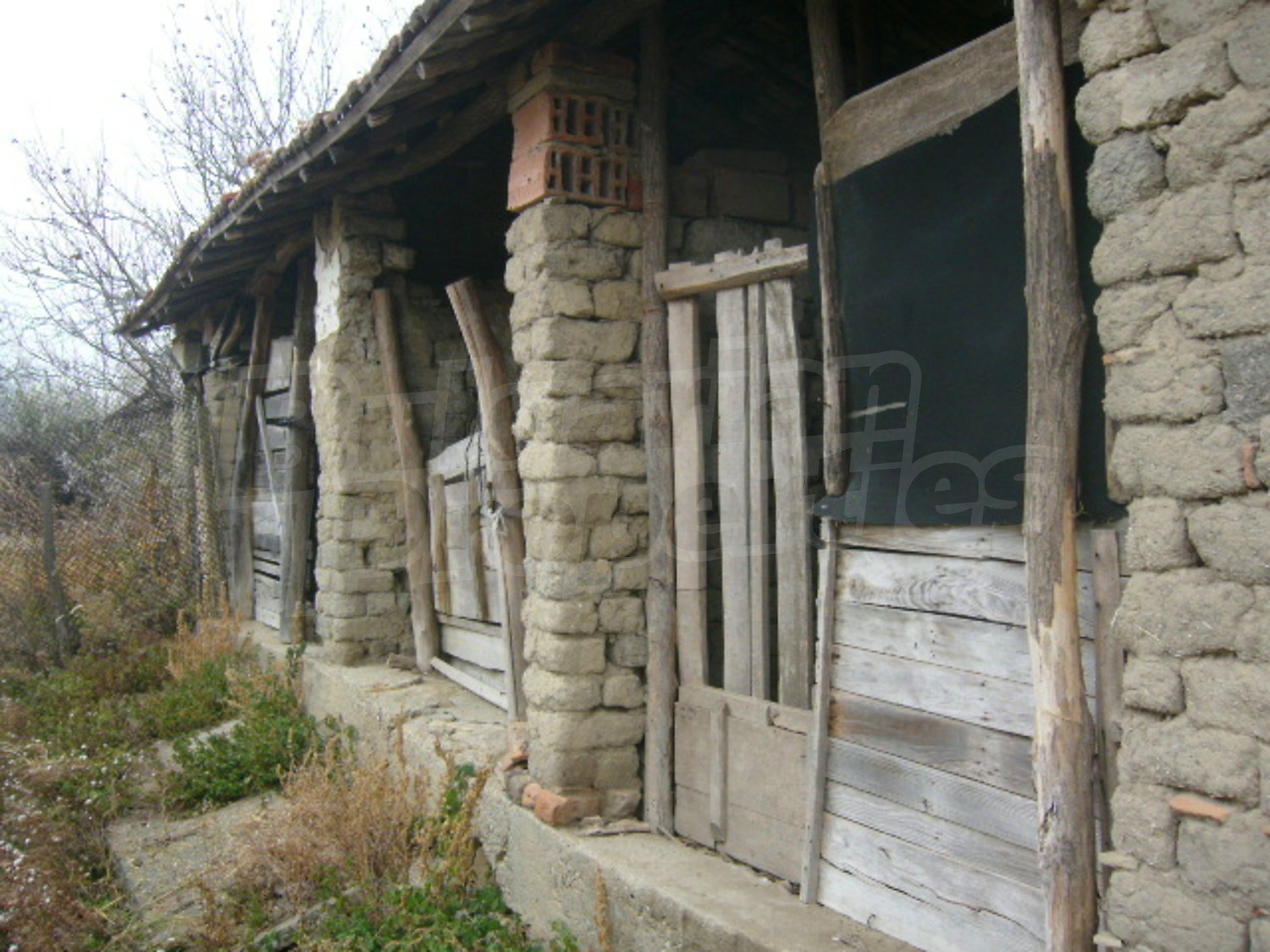 Gallery Picture 23