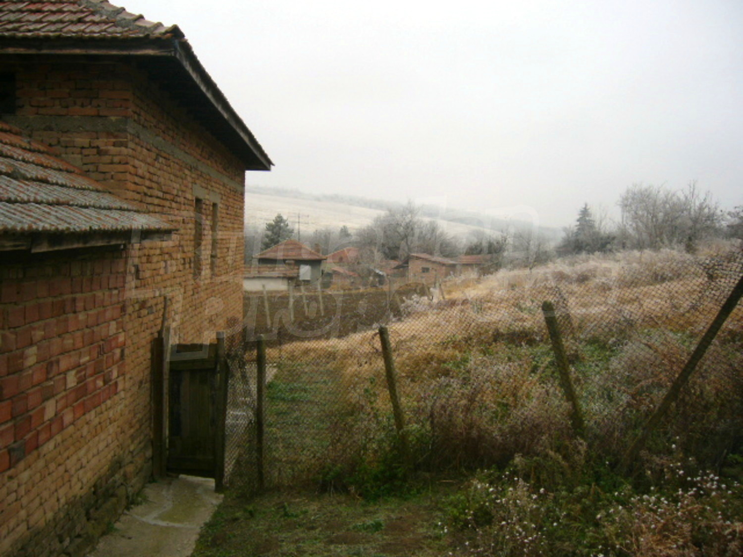Gallery Picture 25