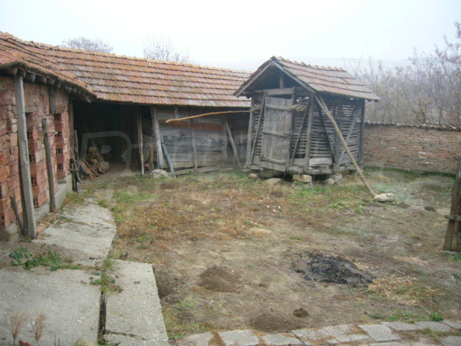 Gallery Picture 26