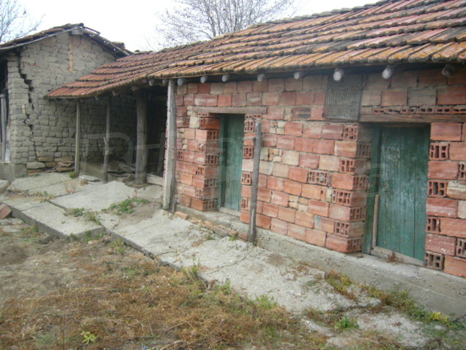 Gallery Picture 27