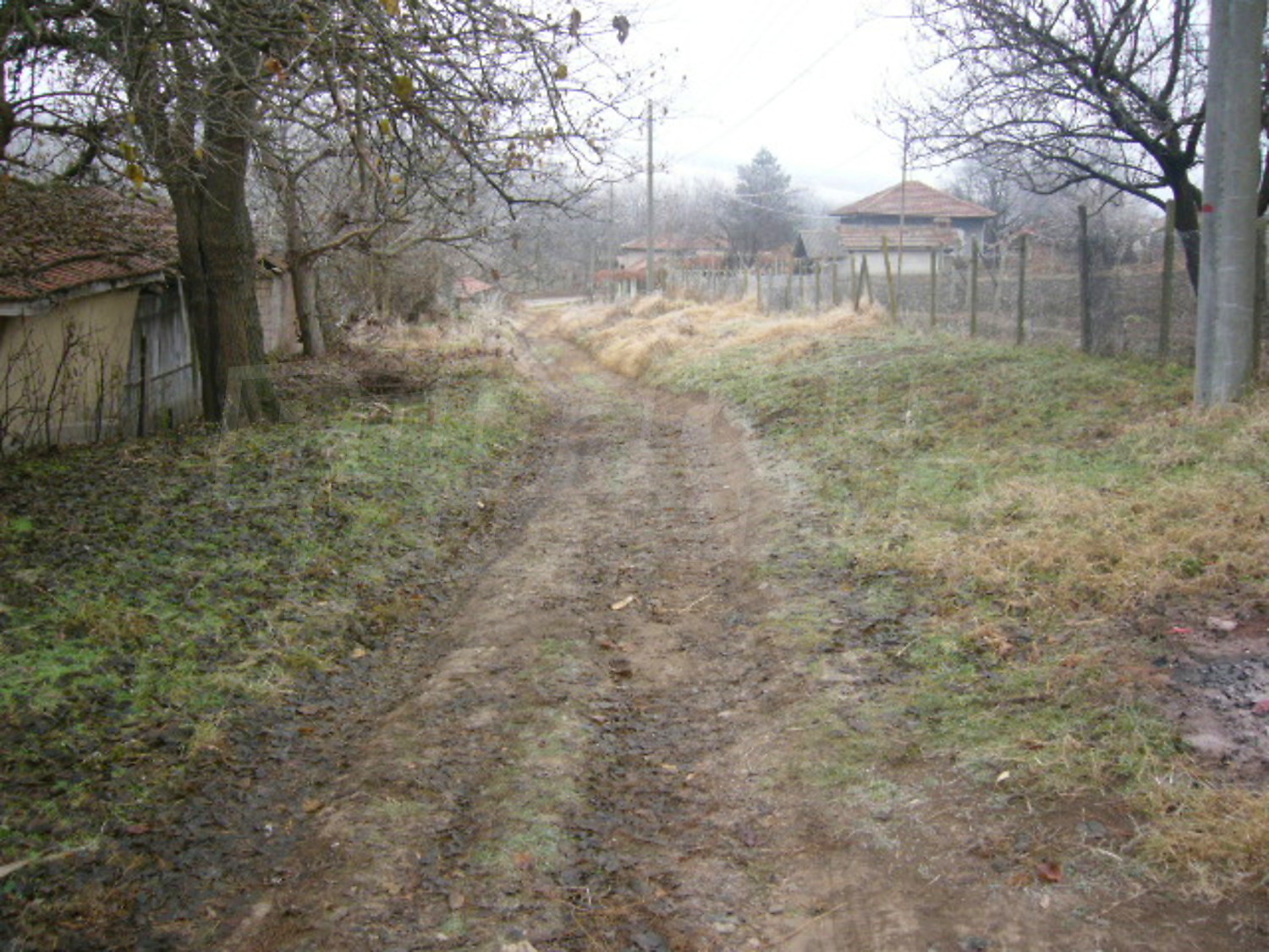 Gallery Picture 28