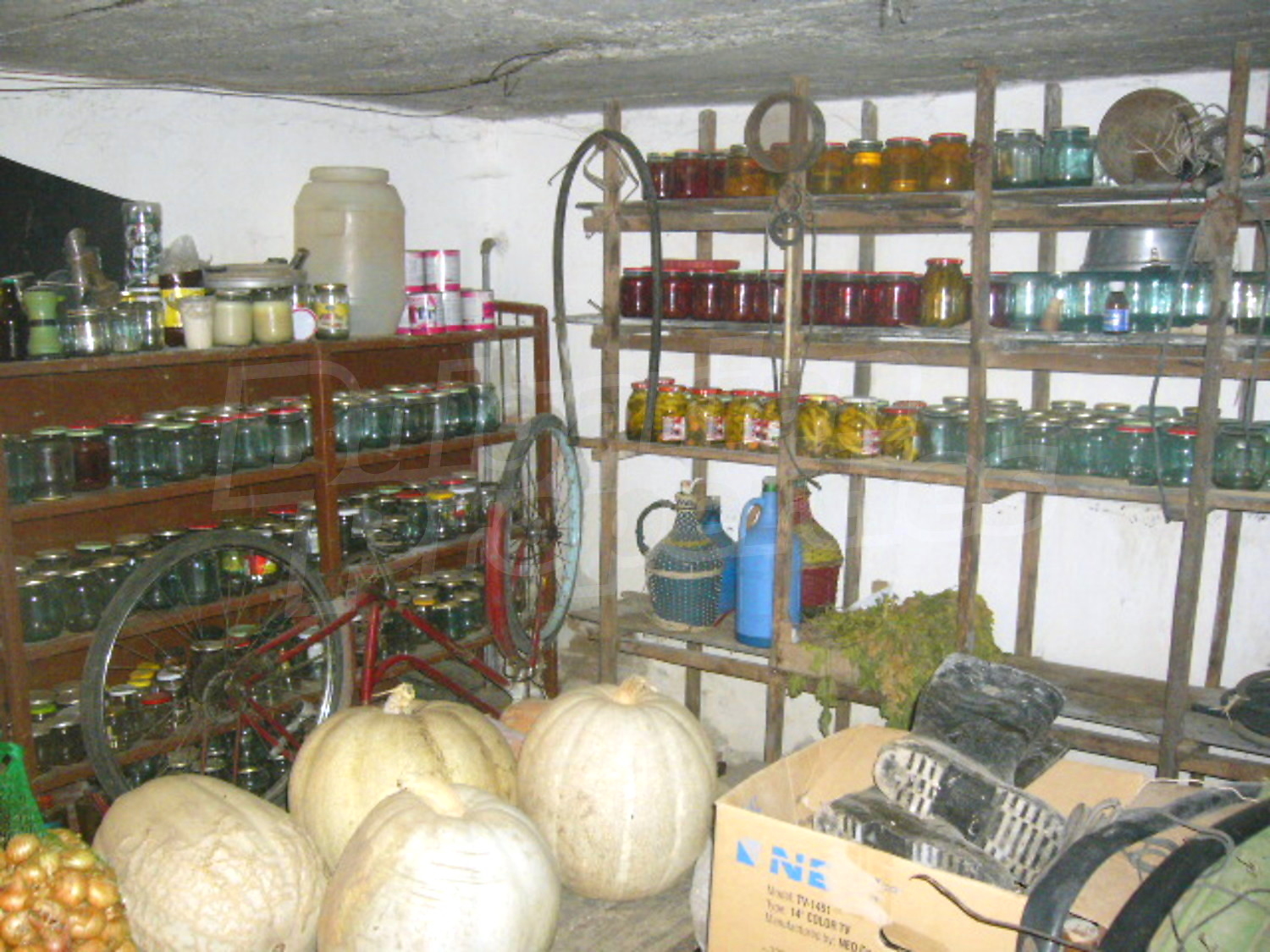 Gallery Picture 9
