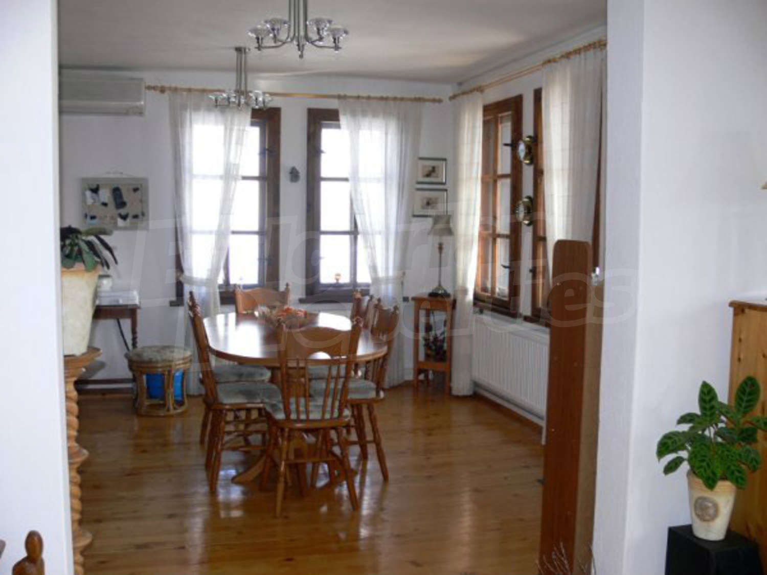 Gallery Picture 46