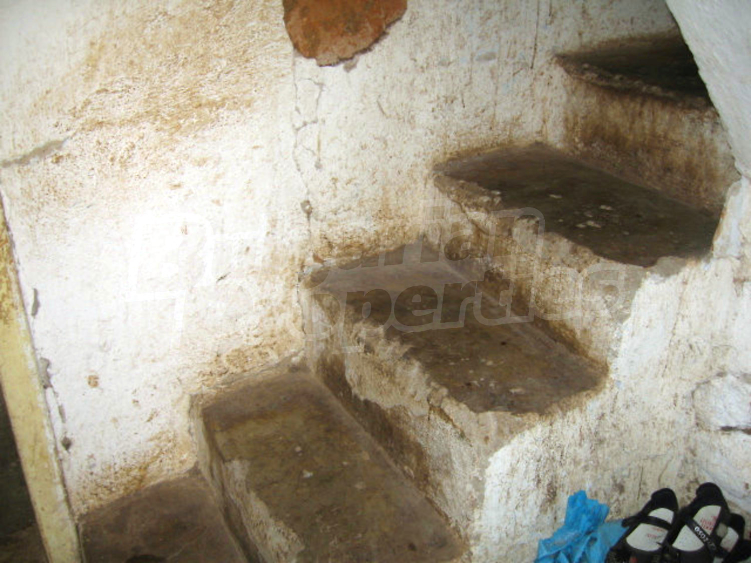 Gallery Picture 11