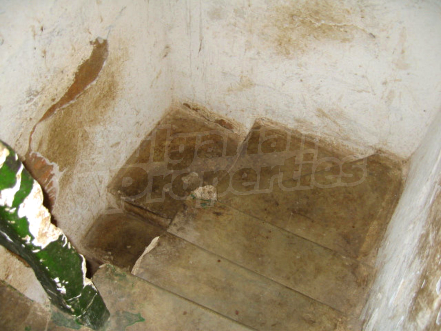 Gallery Picture 22